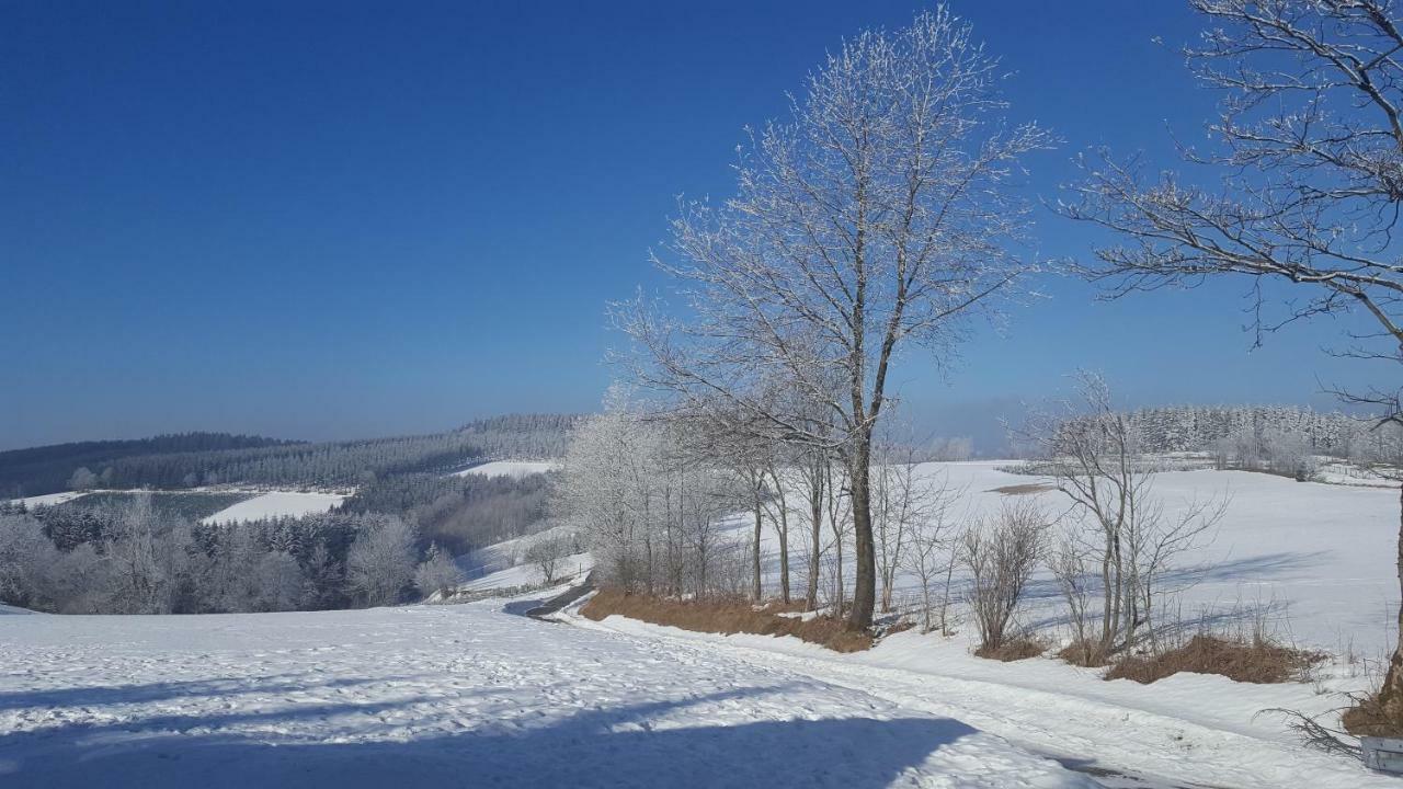 Ferienhaus Bergidylle Winterberg Eksteriør billede