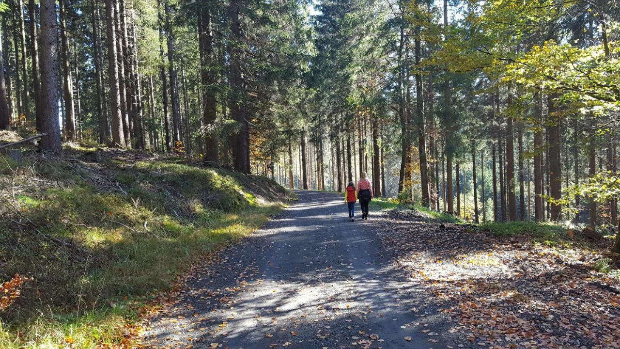 Ferienhaus Bergidylle Winterberg Eksteriør billede
