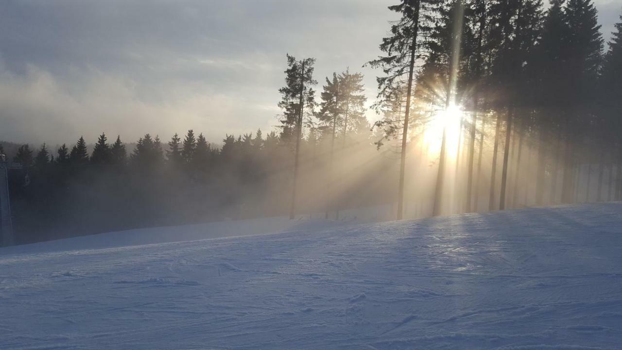Ferienhaus Bergidylle Winterberg Eksteriør billede