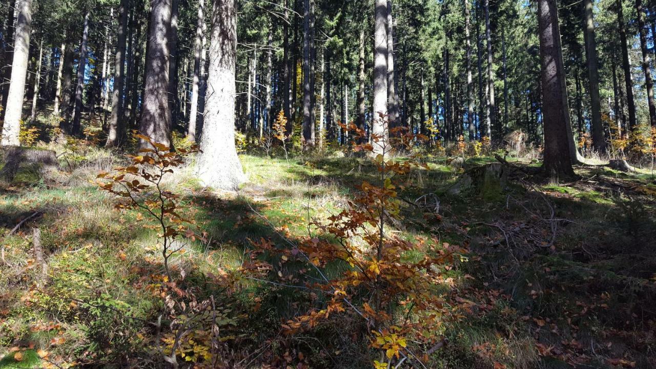 Ferienhaus Bergidylle Winterberg Eksteriør billede