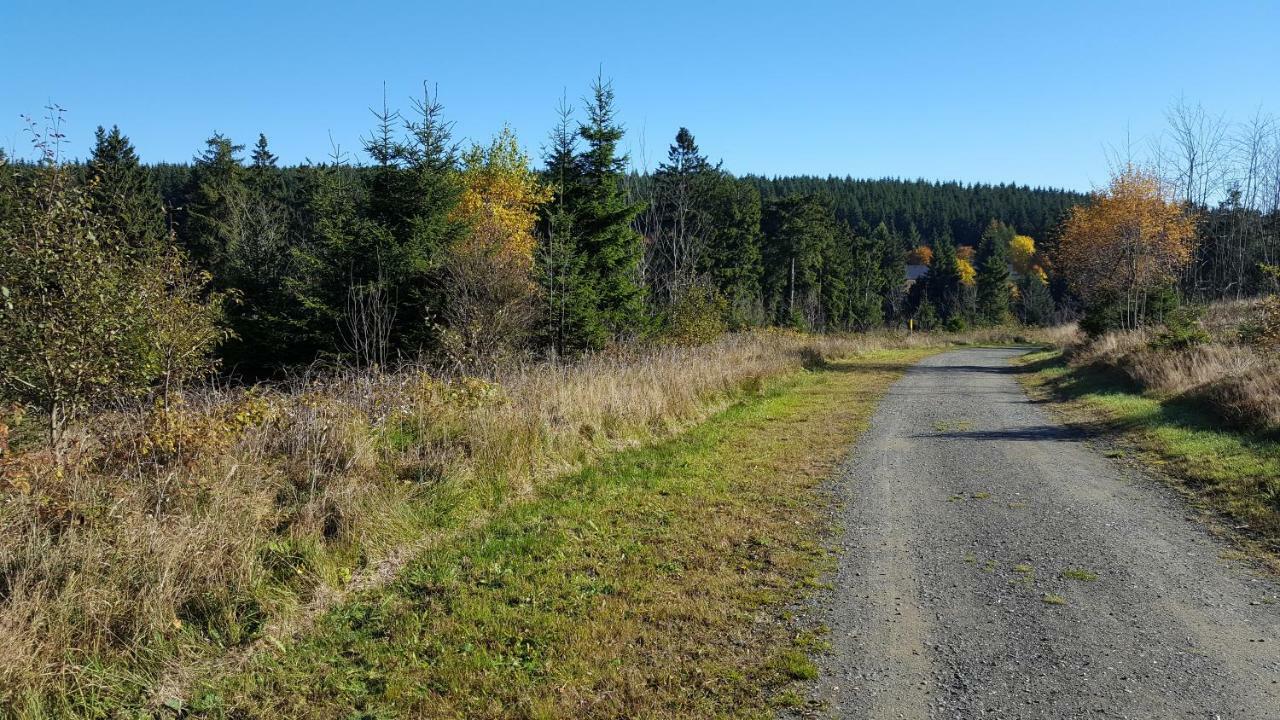 Ferienhaus Bergidylle Winterberg Eksteriør billede