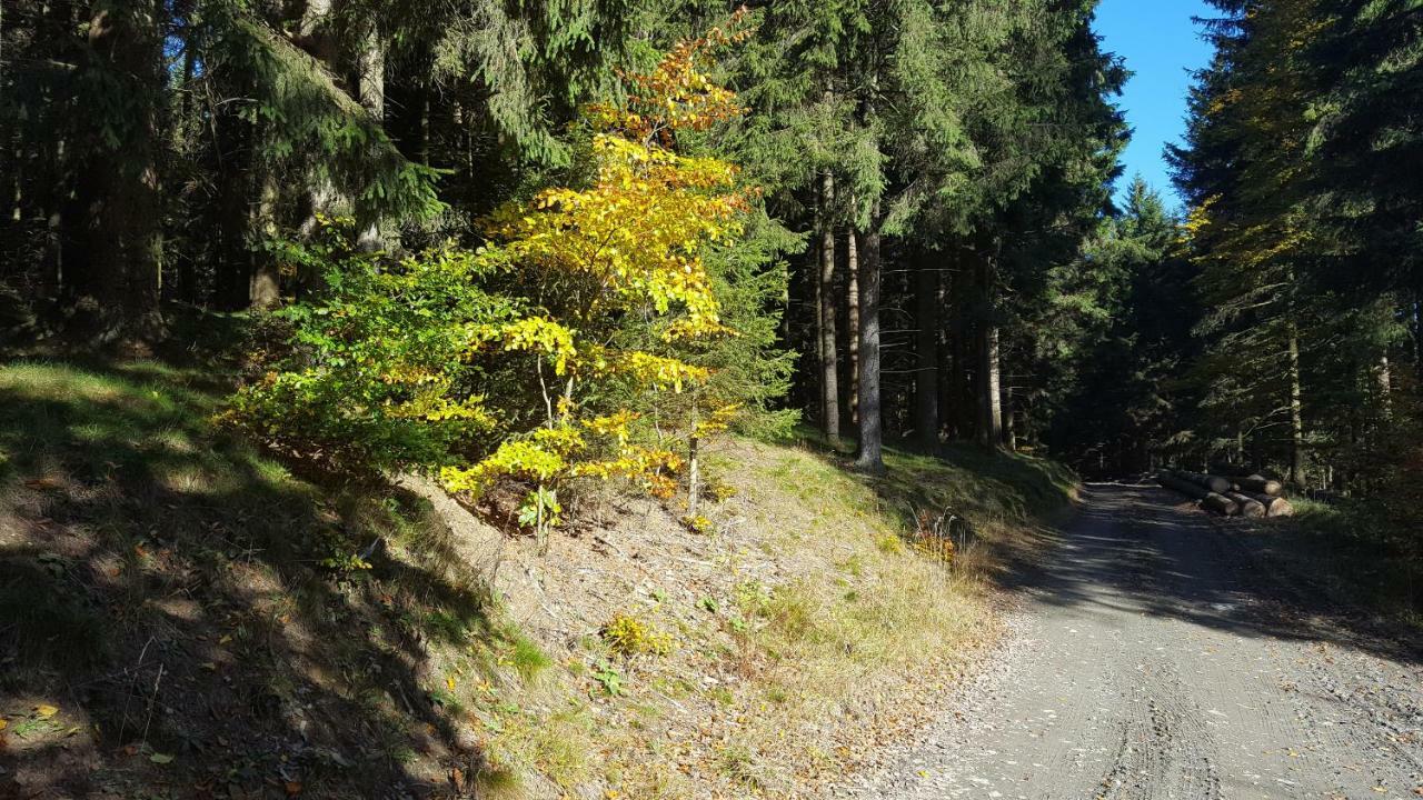 Ferienhaus Bergidylle Winterberg Eksteriør billede