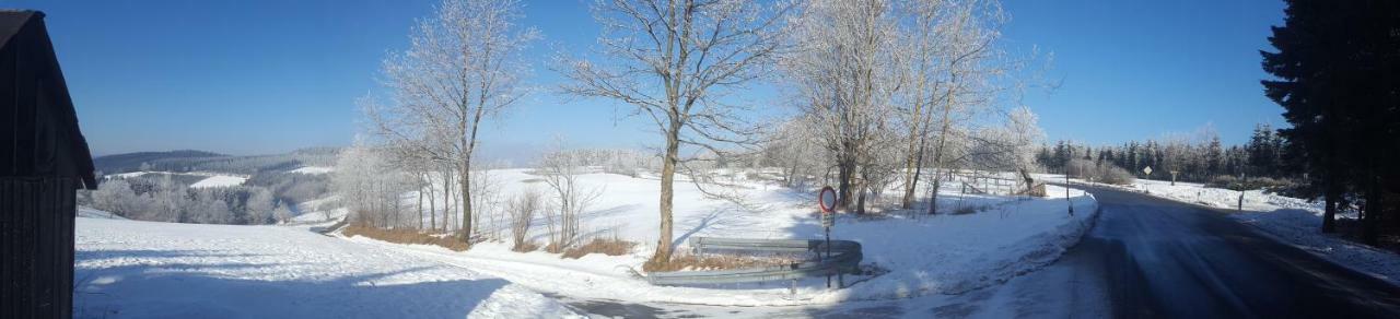 Ferienhaus Bergidylle Winterberg Eksteriør billede