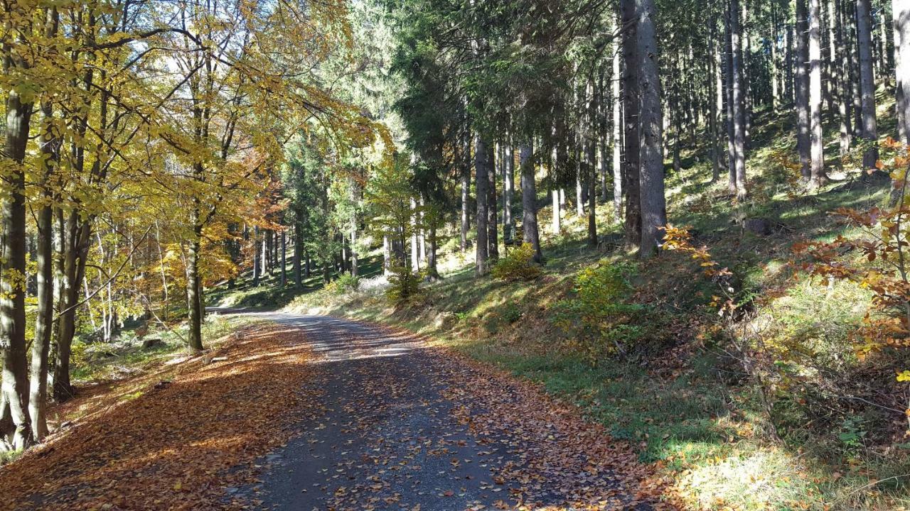 Ferienhaus Bergidylle Winterberg Eksteriør billede