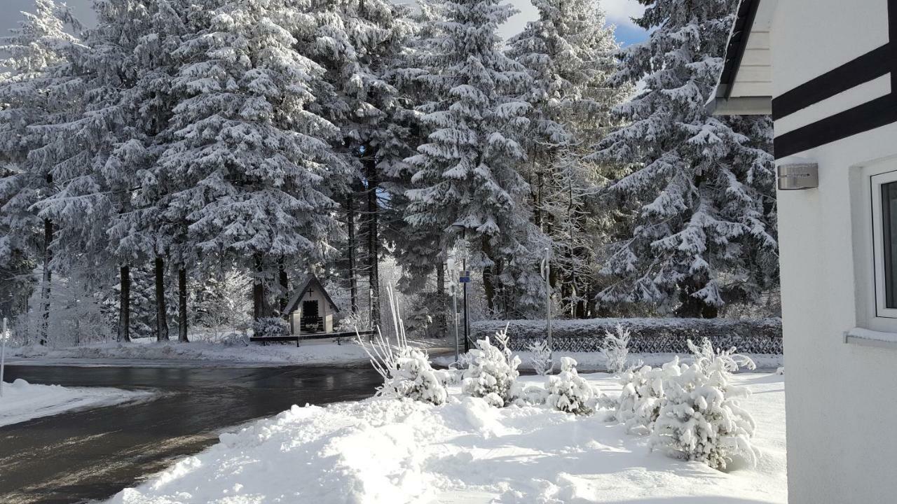 Ferienhaus Bergidylle Winterberg Eksteriør billede