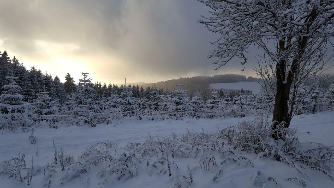 Ferienhaus Bergidylle Winterberg Eksteriør billede