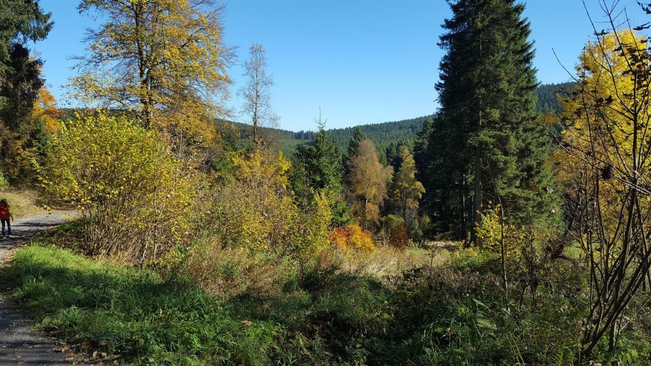 Ferienhaus Bergidylle Winterberg Eksteriør billede